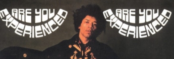The Jimi Hendrix Book